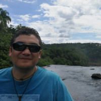 Eleazar Araya Michea