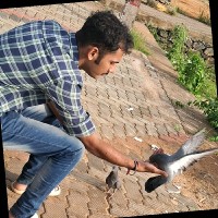 Akash Krishna