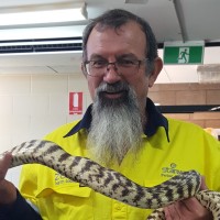 Peter Brisbane