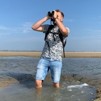 Bas Engels