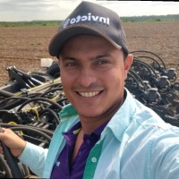 Fernando Henrique A. Ferreira