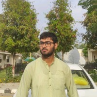 Muhammad Hamza Kamal