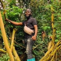 Stephen Baysah Dorbor Jr