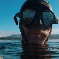 Fernando Pardo Núñez