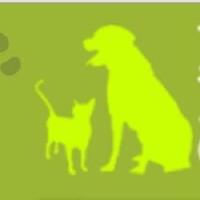 Pets Online Plus
