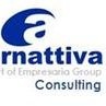 Alternattiva Consulting