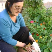Ing Celia Gaillard