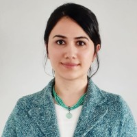 Ebru Yükselci̇