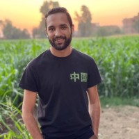 Mahmoud Ashraf