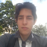 Luis Reynaldo Fuentes Salazar