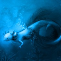 Alexis Daren Pérez Adán