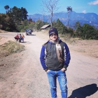 Deb Sankar Roy