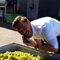 Maximilian Schmalzried