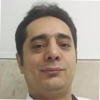 mehdi mirzakhani