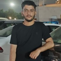 Syed Amer Hussain