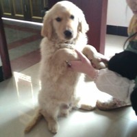 曾文龙