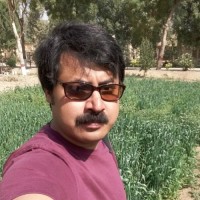 Engr. Mian Mudassar