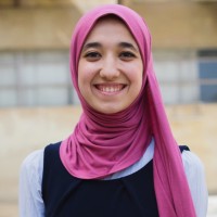 Nariman El-Mahdi