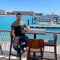 Mahmoud Amer