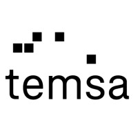 CEO Temsa