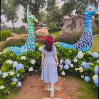 Ngoc Bao