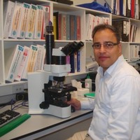 Ali Reza Kazemi