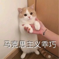 何晓顺