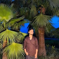 Vikas Kumar