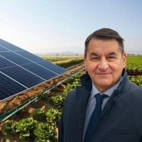 Fiorino Finos