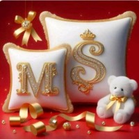 Minakshi S