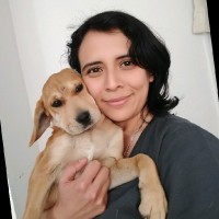 Sonia Sanchez Vazquez