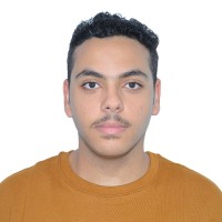Mohamed Safwat