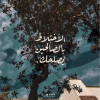 Ramy Ahmed
