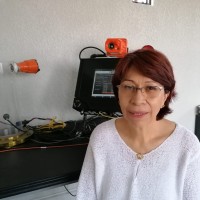 Rosa María Pérez Flores