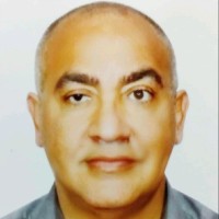 Wael Mahmoud