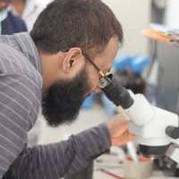 Samiul Hoque