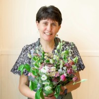 Lisa Hollis