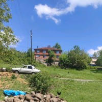 Yıldız Mantarcı