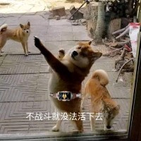 杨佳滨