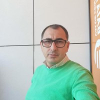 mihai budean