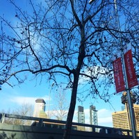 任建峰