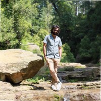 Usama Amir