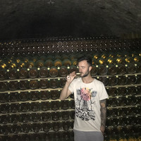 Federico Brugnolaro