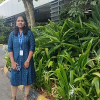 Sandhya R B