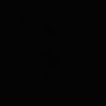 Zee R