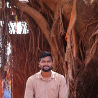 Karthick P