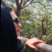nasrin imran
