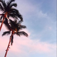 王丽妍