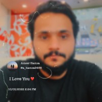Muhammad Ameer Hamza