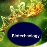 Dept.of Biotechnology, Sir MVIT,Bangalore, India
